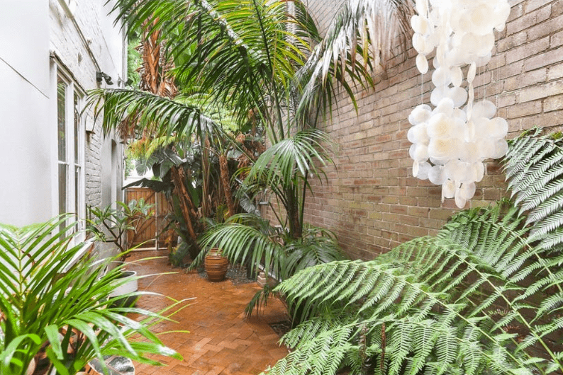 2/62-64 Cross Street, Double Bay For Lease by Bradfield Badgerfox - image 1